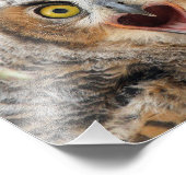 Impression Photo Grand Chouette à cornes (Coin)