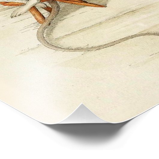 Impression Photo Grand-père Souris Lecture Journal (Coin)