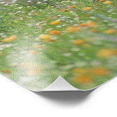 Impression Photo Grand Roadrunner, Geococcyx (Coin)