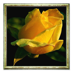 Impression Photo Grand rose jaune