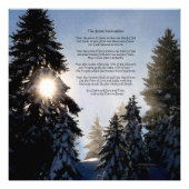 Impression Photo Grande Invocation - Pine Tree Sun Light (Devant)