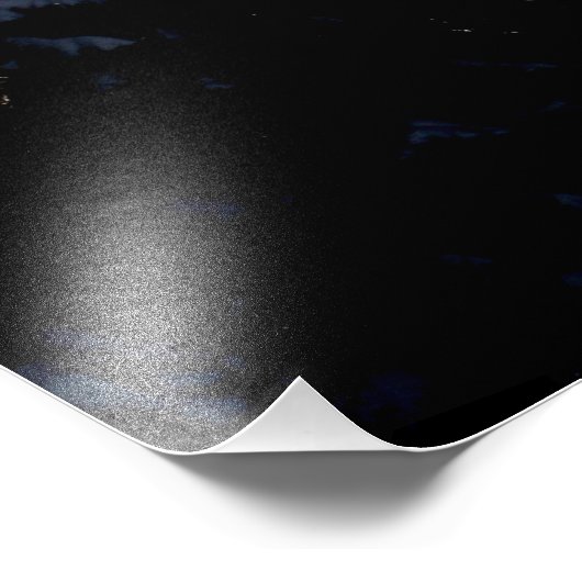 Impression Photo Grande Invocation - Pine Tree Sun Light (Coin)