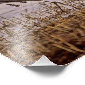 Impression Photo Granes de Sandhill Grus canadensis) Platte (Coin)