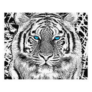 Impression Photo Graphique de tigre noir et blanc aux yeux bleus