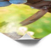 Impression Photo Grappes (Coin)