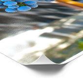 Impression Photo Grappes de Napa Valley (Coin)