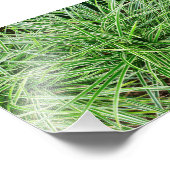 Impression Photo Grasses (Coin)