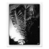 Impression Photo Graveurs Sky (Devant)