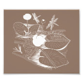 Impression Photo Gravure de nénuphars (Devant)