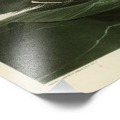 Impression Photo Great Auk - John James Audubon's Birds of America (Coin)