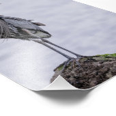 Impression photo Great Blue Heron (Coin)