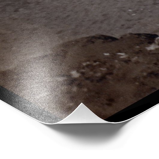 Impression Photo Great Sphinx & Gizeh Pyramides Necropolis Egypte (Coin)