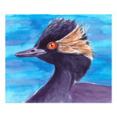 Impression Photo Grebe (Devant)