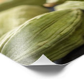 Impression Photo Green Cardamom Pods Macro Zoom Aromatic Spice Text (Coin)