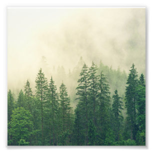 Impression Photo Green Foggy Rocky Mountains Colorado USA Adventure