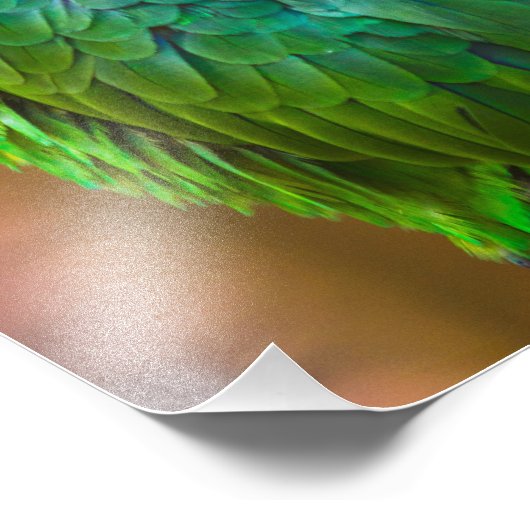 Impression Photo Green parrot (Coin)