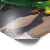 Impression Photo Grenouille drôle avec lunettes de soleil (Coin)