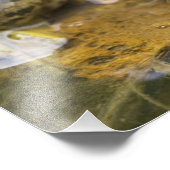 Impression Photo Grenouille le long de la rivière Buffalo, point mi (Coin)