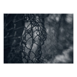 Impression Photo Grille de clôture métallique fine art