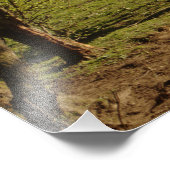 Impression Photo Gris À La Ferme De Tarvit (Coin)