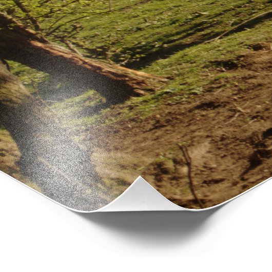 Impression Photo Gris À La Ferme De Tarvit (Coin)