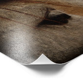 Impression Photo Gris Cheval Face Grunge (Coin)