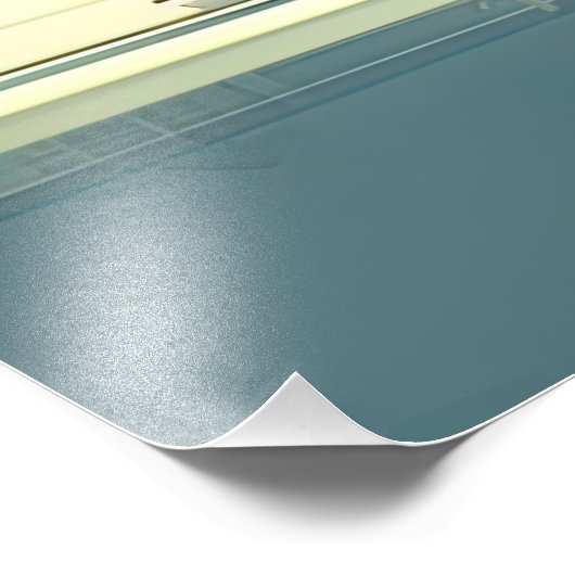 Impression Photo Gros Beutiful et Majestic Chat (Coin)