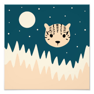 Impression Photo Gros chat nuit