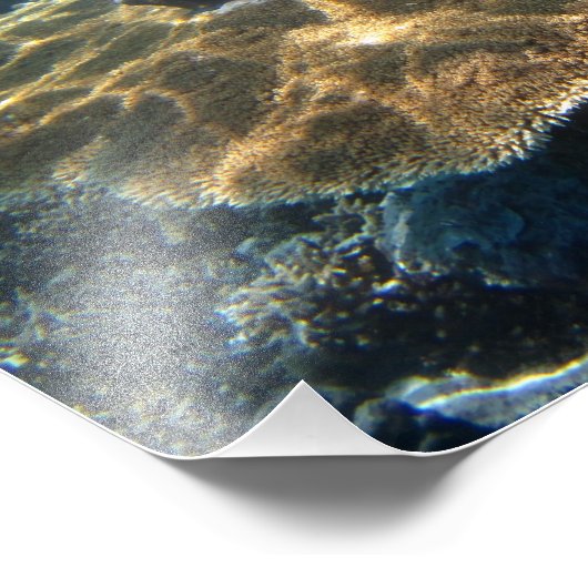 Impression Photo Gros Corral (Coin)