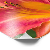 Impression Photo Gros plan Macro de fleur de lys rose (Coin)