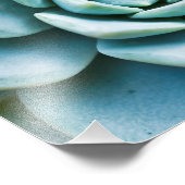 Impression Photo Gros plan sur une succulente (Coin)