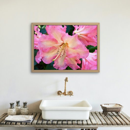 Impression Photo Gros Rhododendron rose fleuri