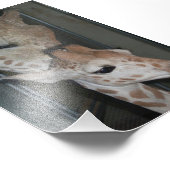 Impression Photo Groupe 4X6 Imprimer #4 (Coin)