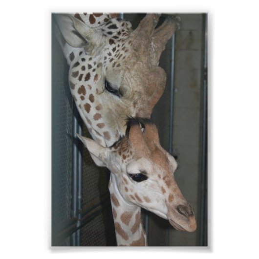 Impression Photo Groupe 4X6 Imprimer #4 (Devant)