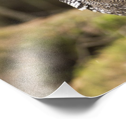 Impression Photo Groupement fier (Coin)