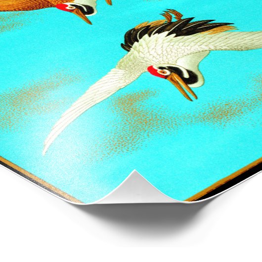 Impression Photo Grue de trois sarus devant la lune (Coin)