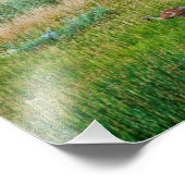 Impression Photo Grues Sandhill (Coin)