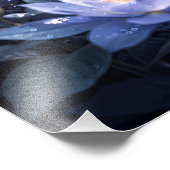 Impression Photo Guardian White Tiger – Silent Strength and Gentle (Coin)