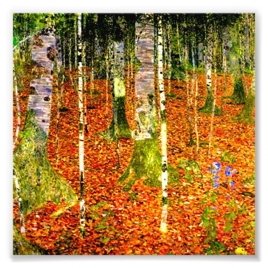 Impression Photo Gustav Klimt Birch Trees (Devant)