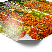 Impression Photo Gustav Klimt Birch Trees (Coin)