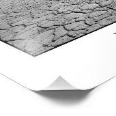 Impression Photo Haakskeen Pan (Coin)