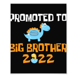 Impression Photo Hachage D'Oeufs De Dinosaure Promu À Big Brother