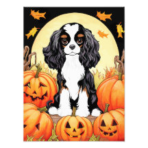 Halloween, Automne, Tri Couleur Cavalier Espagnol
