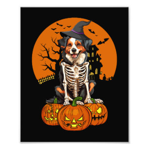 Impression Photo Halloween, chien berger australien