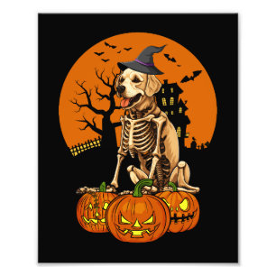 Impression Photo Halloween Chien Golden Retriever