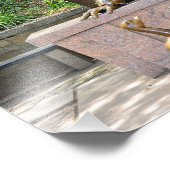 Impression Photo Hans Christian Andersen dans le Parc central (Coin)