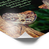 Impression Photo Happiness Brown Butterfly Inspirational Citation 8 (Coin)