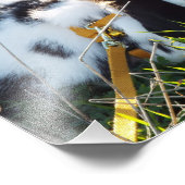 Impression Photo Happy Hoppy (Coin)