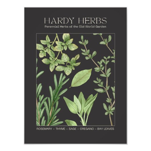 Impression Photo Hardy Herbs Botanical Print  (Devant)