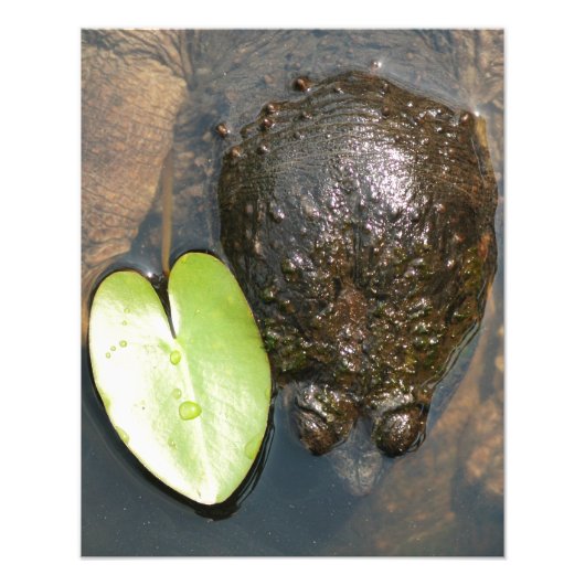 Impression Photo Harmonie (Devant)